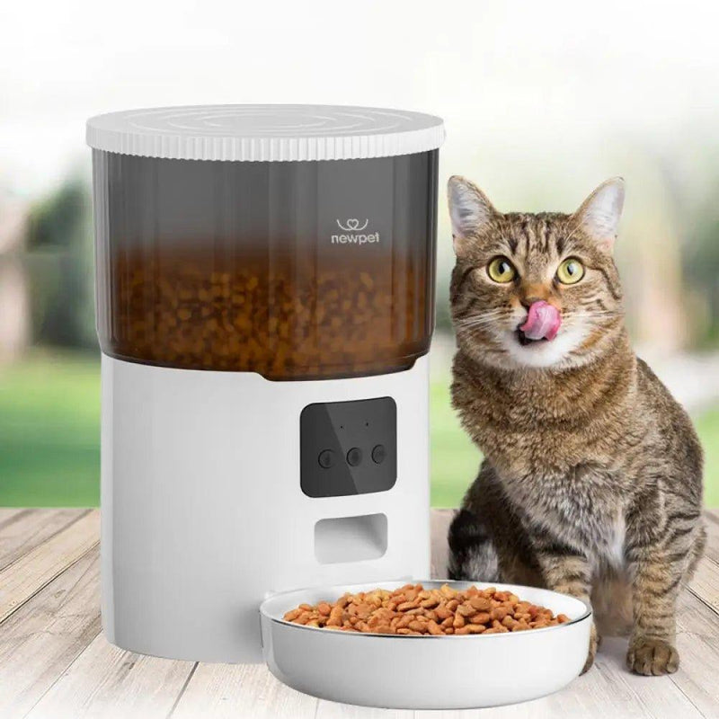 Alimentador inteligente para Pets - BrazilStory