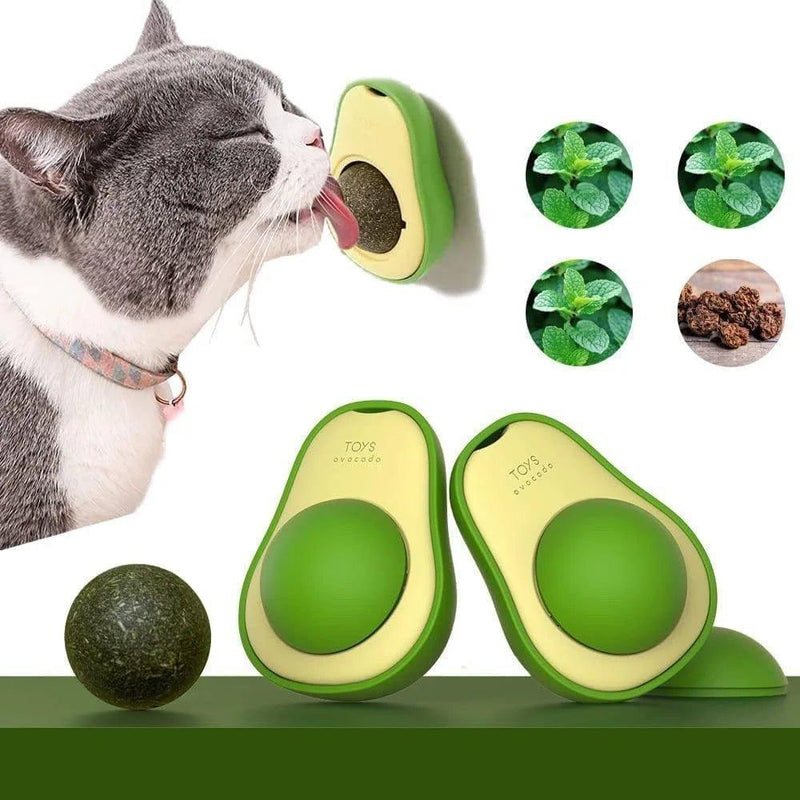 Abacate de Brinquedo Para Gatos Com Catnip Erva® - BrazilStory